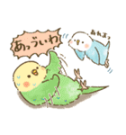夏のインコたち（個別スタンプ：38）
