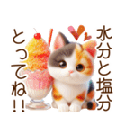 真夏の思いやり猫❁⃘*（個別スタンプ：3）