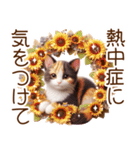 真夏の思いやり猫❁⃘*（個別スタンプ：5）