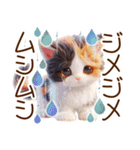 真夏の思いやり猫❁⃘*（個別スタンプ：10）