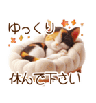 真夏の思いやり猫❁⃘*（個別スタンプ：19）