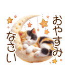 真夏の思いやり猫❁⃘*（個別スタンプ：20）