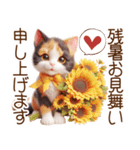 真夏の思いやり猫❁⃘*（個別スタンプ：21）