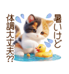 真夏の思いやり猫❁⃘*（個別スタンプ：27）