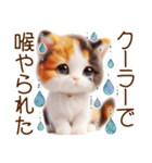 真夏の思いやり猫❁⃘*（個別スタンプ：36）