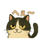 ふてにゃんの日常スタンプ（個別スタンプ：2）