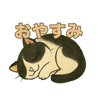 ふてにゃんの日常スタンプ（個別スタンプ：7）