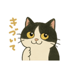 ふてにゃんの日常スタンプ（個別スタンプ：11）