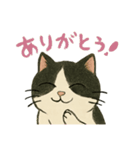 ふてにゃんの日常スタンプ（個別スタンプ：13）