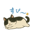 ふてにゃんの日常スタンプ（個別スタンプ：14）
