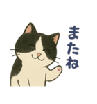 ふてにゃんの日常スタンプ（個別スタンプ：15）