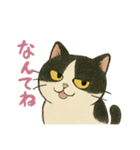 ふてにゃんの日常スタンプ（個別スタンプ：16）