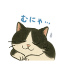 ふてにゃんの日常スタンプ（個別スタンプ：17）