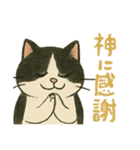 ふてにゃんの日常スタンプ（個別スタンプ：24）