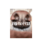 マルちゃんの素材です（個別スタンプ：8）