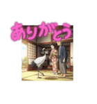 鶴の恩返し1（個別スタンプ：4）
