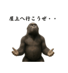 キリッとした眉ゴリラ（個別スタンプ：3）