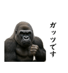 キリッとした眉ゴリラ（個別スタンプ：4）