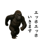 キリッとした眉ゴリラ（個別スタンプ：6）