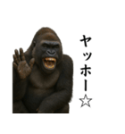 キリッとした眉ゴリラ（個別スタンプ：9）