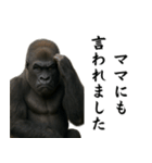 キリッとした眉ゴリラ（個別スタンプ：12）