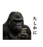 キリッとした眉ゴリラ（個別スタンプ：13）