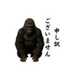 キリッとした眉ゴリラ（個別スタンプ：22）