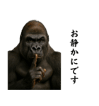 キリッとした眉ゴリラ（個別スタンプ：24）