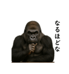 キリッとした眉ゴリラ（個別スタンプ：25）