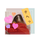 ✨みんな集まれ✨モルランド♡（個別スタンプ：2）