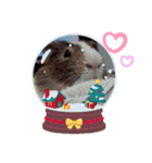 ✨みんな集まれ✨モルランド♡（個別スタンプ：3）