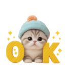 スコティッシュ猫 かわいいカラフル帽 夏（個別スタンプ：6）