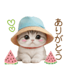 スコティッシュ猫 かわいいカラフル帽 夏（個別スタンプ：9）