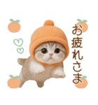 スコティッシュ猫 かわいいカラフル帽 夏（個別スタンプ：10）