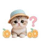 スコティッシュ猫 かわいいカラフル帽 夏（個別スタンプ：12）