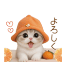 スコティッシュ猫 かわいいカラフル帽 夏（個別スタンプ：13）