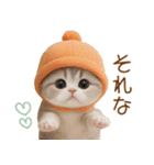 スコティッシュ猫 かわいいカラフル帽 夏（個別スタンプ：16）