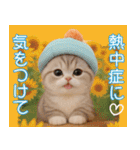 スコティッシュ猫 かわいいカラフル帽 夏（個別スタンプ：18）
