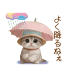 スコティッシュ猫 かわいいカラフル帽 夏（個別スタンプ：23）