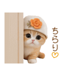 スコティッシュ猫 かわいいカラフル帽 夏（個別スタンプ：25）