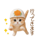 スコティッシュ猫 かわいいカラフル帽 夏（個別スタンプ：29）