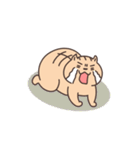 ネコさんスタンプ（夏・雨①）（個別スタンプ：17）