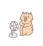ネコさんスタンプ（夏・雨①）（個別スタンプ：30）