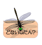 スマホの上のトンボ 6《関西弁》（個別スタンプ：17）
