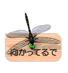 スマホの上のトンボ 6《関西弁》（個別スタンプ：22）