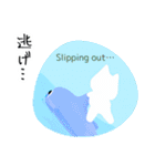 【毎日使える】こたつねこの夏2025（個別スタンプ：16）