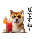 夏☆柴犬（敬語）（個別スタンプ：3）