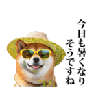 夏☆柴犬（敬語）（個別スタンプ：5）