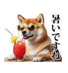 夏☆柴犬（敬語）（個別スタンプ：6）