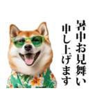夏☆柴犬（敬語）（個別スタンプ：8）